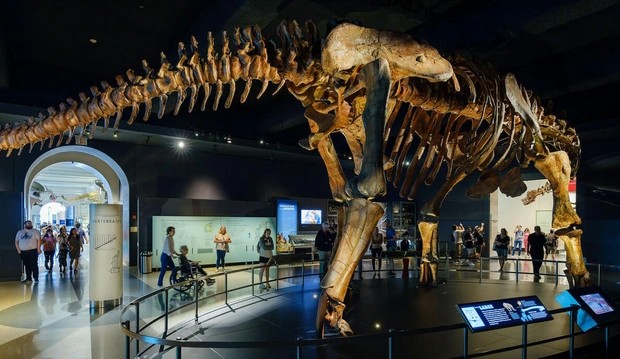 Mẫu vật đáng sợ tiết lộ nguồn gốc "hành tinh quái thú"