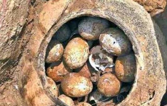 Các nhà khảo cổ học tại sao lại sợ hãi trứng trong lăng mộ cổ?