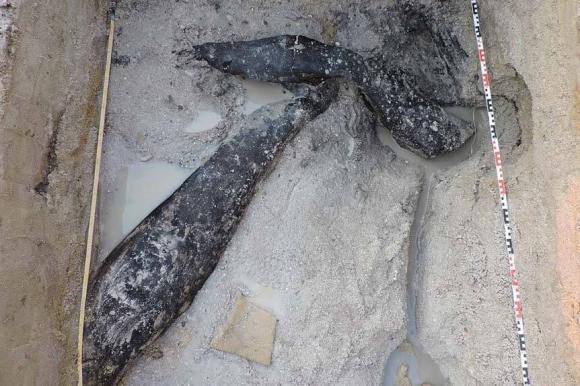 2 khúc gỗ tồn tại cách đây 500.000 năm được phát hiện, hé lộ điều 'không tưởng' về người tiền sử