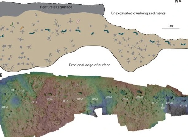 "Vườn địa đàng" 1,5 triệu tuổi nơi 2 loài người cùng chung sống