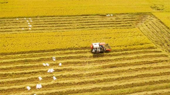 Miền Nam được tính từ tỉnh nào?