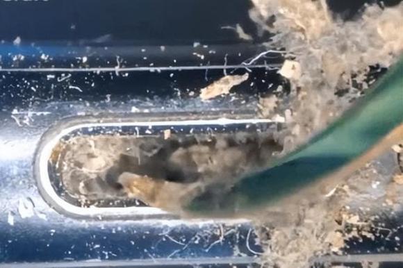 Mẹo đơn giản giúp làm sạch bụi bẩn trong lỗ điện thoại hiệu quả