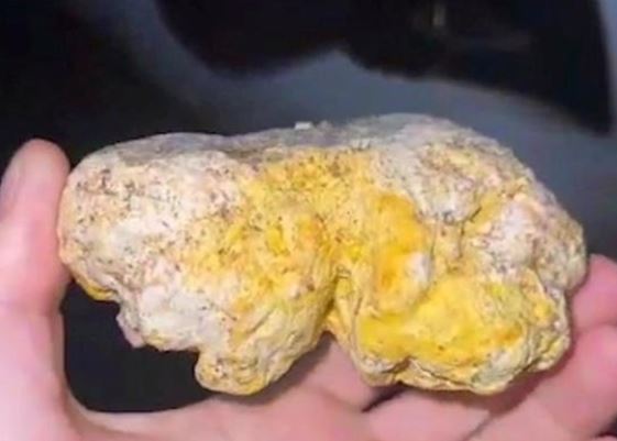 Người đàn ông nhặt được bãi nôn đáng sợ của cá voi, tưởng phế phẩm ai ngờ cả thứ quý hơn cả vàng