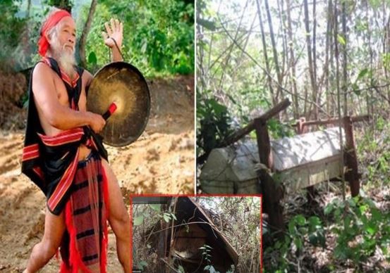 Khám phá  địa điểm duy nhất của Việt Nam được gọi là ‘rừng ma’, bất khả xâm phạm chỉ dành cho người chết