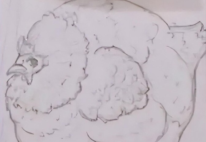 Bức tranh vẽ con gà của bé lớp 4 bị cô giáo cho điểm kém, phụ huynh bức xúc lên mạng hỏi