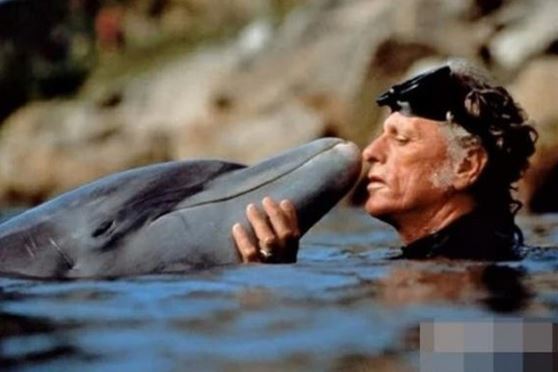 Lý giải nguyên nhân cá heo thường cứu người, chúng cứu người bằng cách nào?
