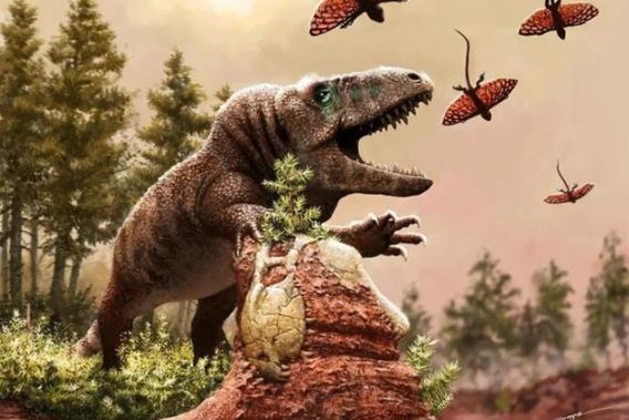 Khủng long không hề tuyệt chủng, chúng vẫn tồn tại ở 1 nơi bí ẩn, loài người đang tìm cách đặt chân đến?