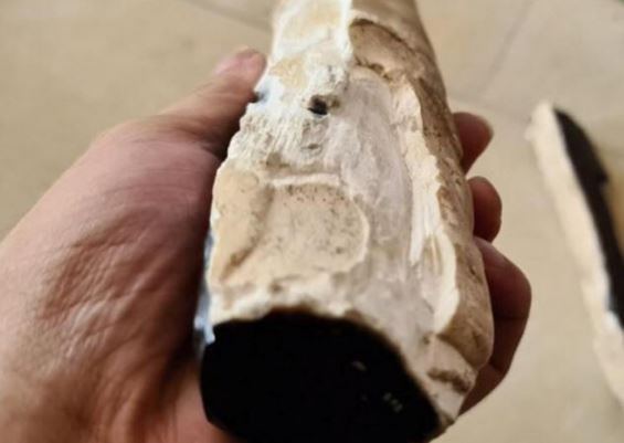 1 địa phương ở Việt Nam sở hữu Bạch Kỳ Nam tốt nhất thế giới: Là loại gỗ quý hơn kim cương, giá 50 tỷ/kg