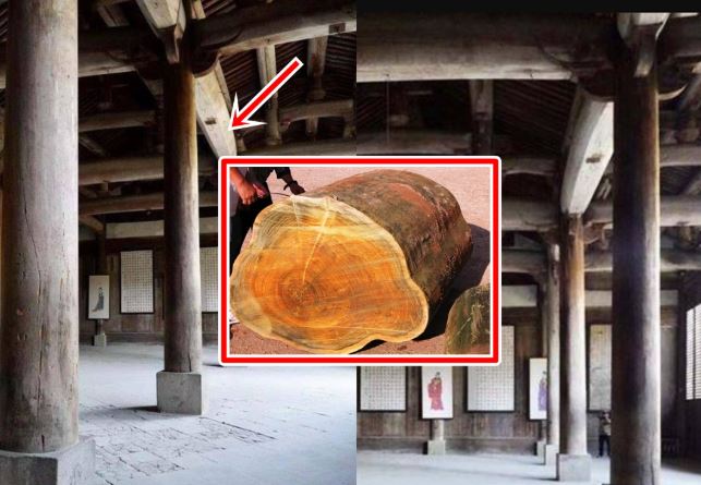 Ngôi chùa cổ sở hữu 4 chiếc cột gỗ quý hơn 'kim cương' giá 3.400 tỷ: Người người xếp hàng vào xem!