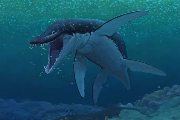 Phát hiện siêu quái vật đại dương 80 triệu năm tuổi: Hình dạng kỳ dị, được mệnh danh 'kẻ thống trị biển cả'