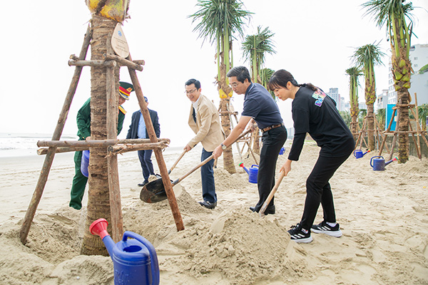 Hàng trăm cây dừa được trồng, bãi biển Đà Nẵng thêm sức sống