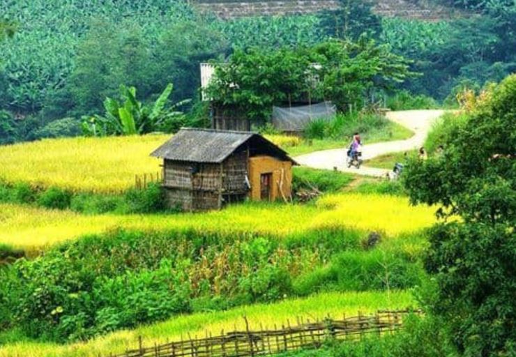 Xây nhà tạm trên đất nông nghiệp có bị phạt không?