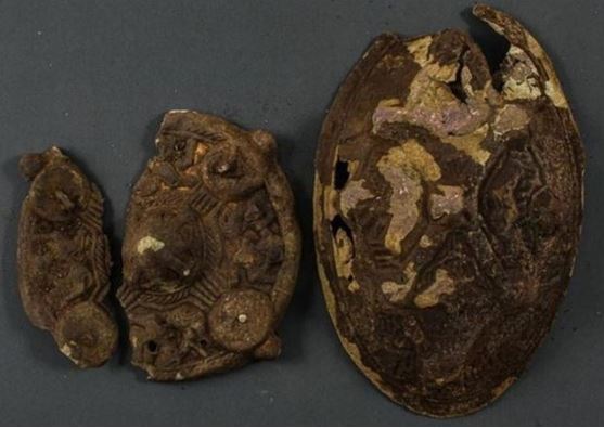 1 gia đình phát hiện kho báu hơn 1.000 năm dưới gốc cây, lập tức gọi cơ quan chức năng để giao nộp