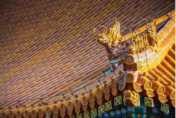 Tại sao chim không thể ‘bén mảng’ đến Tử Cấm Thành? Không phải mê tín mà có cơ sở khoa học!