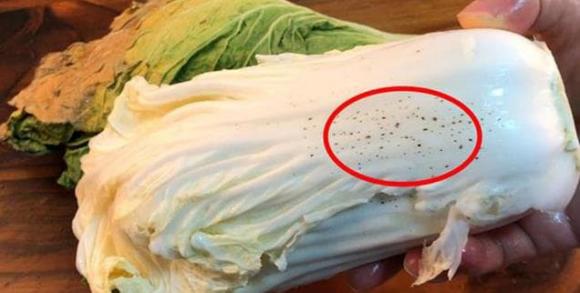 Những “đốm đen” trên cải thảo không thể rửa sạch là gì? Nó có thể ăn được không?