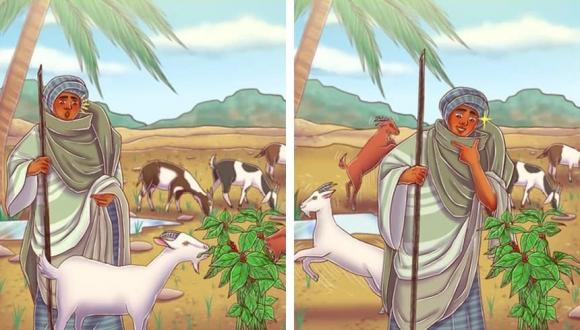 7 &#x111;i&#x1EC1;u th&#xFA; v&#x1ECB; v&#x1EC1; c&#xE0; ph&#xEA;: T&#x1EEB; ch&#xFA; d&#xEA; Ethiopia &#x111;&#x1EBF;n h&#x1EA1;t c&#xE0; ph&#xEA; &#x111;&#x1EAF;t nh&#x1EA5;t th&#x1EBF; gi&#x1EDB;i, &#x111;&#x1ECD;c xong l&#x1EA1;i mu&#x1ED1;n nh&#x1EA5;p th&#xEA;m m&#x1ED9;t ng&#x1EE5;m