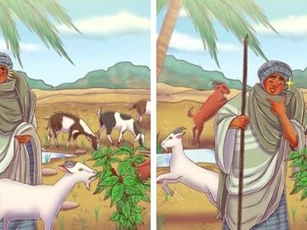 7 điều thú vị về cà phê: Từ chú dê Ethiopia đến hạt cà phê đắt nhất thế giới, đọc xong lại muốn nhấp thêm một ngụm