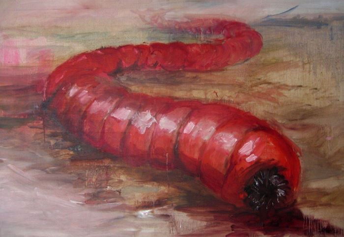 Bí ẩn về giun tử thần Mông Cổ có gai, nọc độc và gây sốc điện