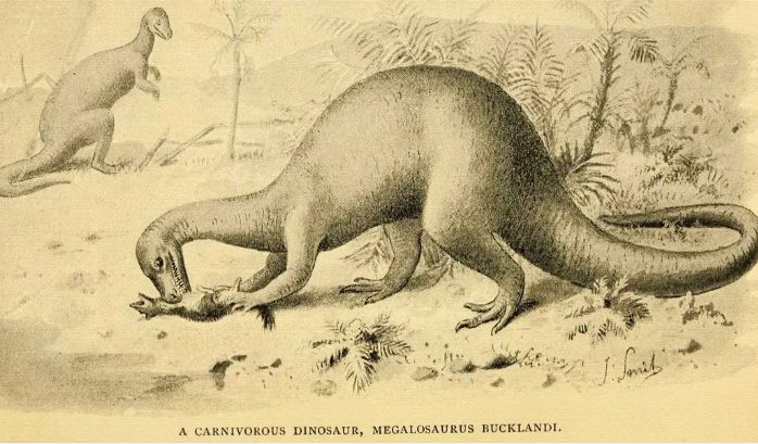 Loài người phát hiện ra dấu tích của khủng long từ khi nào?
