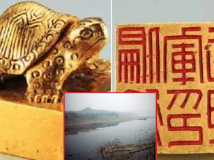 Ngư dân nhặt được rùa vàng nhỏ liền đổi lấy 1 triệu đồng, khóc ròng khi biết giá trị thật lên đến 660 tỷ