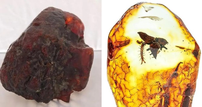 Nhặt bừa viên đá chặn cửa nhiều thập kỷ, cụ bà đến khi mất cũng không biết mình từng sở hữu báu vật