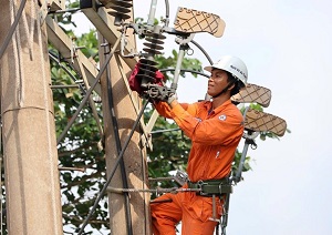 Ngành Điện lực miền Nam "Thắp sáng niềm tin" cho các hộ nghèo