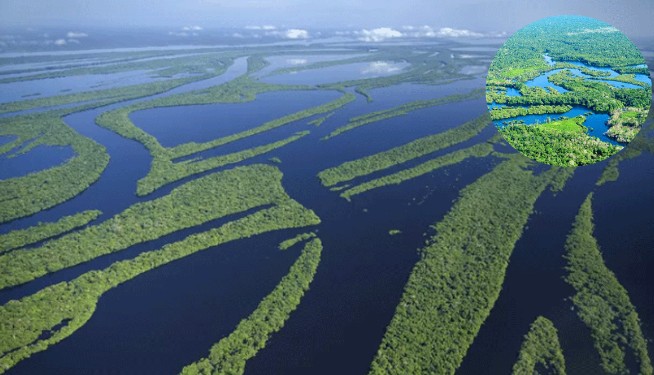 Con sông dài nhất thế giới: Chảy qua lãnh thổ 9 quốc gia nhưng không có cây cầu nào để vượt qua sông