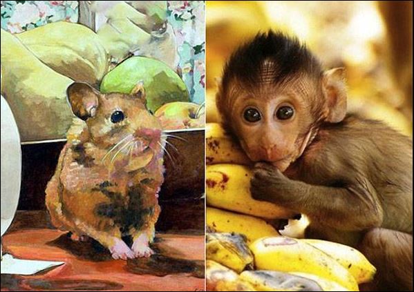 Tử vi ngày 27/12/2024 của 12 con giáp: Tuổi Tý rực rỡ thành công, tuổi Thân cần đề cao cảnh giác