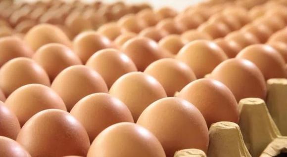 Nếu bạn nhất quyết ăn một quả trứng luộc vào buổi sáng, cơ thể bạn sẽ có những thay đổi gì sau một thời gian?