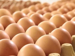 Nếu bạn nhất quyết ăn một quả trứng luộc vào buổi sáng, cơ thể bạn sẽ có những thay đổi gì sau một thời gian?