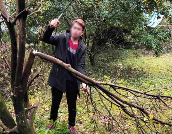 Ng&#x1B0;&#x1EDD;i x&#x1B0;a khuy&#xEA;n: Tr&#x1ED3;ng c&#xE2;y n&#xE0;y tr&#x1B0;&#x1EDB;c nh&#xE0; ph&#x1EA3;i ch&#x1EB7;t b&#x1ECF; ngay k&#x1EBB;o &#x111;en &#x111;&#x1EE7;i k&#xE9;o &#x111;&#x1EBF;n