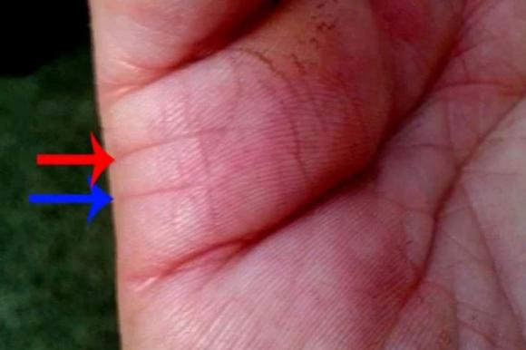 Soi bàn tay để biết ngay vận mệnh hôn nhân, kết quả chính xác đến bất ngờ