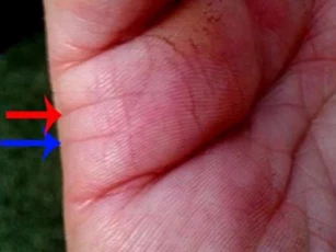 Soi bàn tay để biết ngay vận mệnh hôn nhân, kết quả chính xác đến bất ngờ