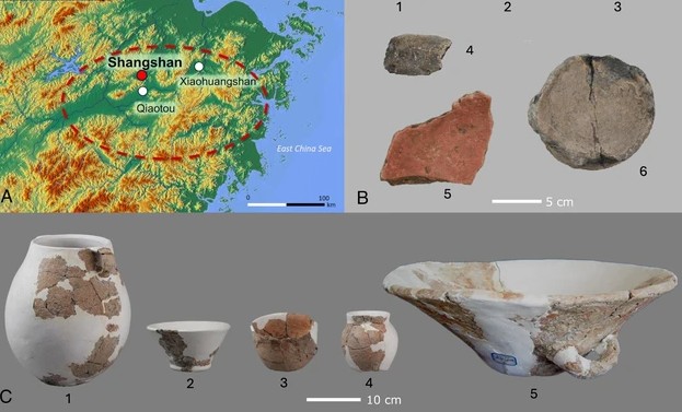 Phát hiện loại rượu lâu đời nhất thế giới ở Trung Quốc