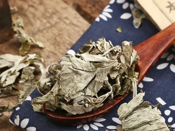 Tại sao nhiều người treo túi lá ngải cứu ở đầu giường? Sự thật khiến bạn bất ngờ