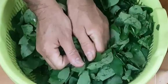 R&#x1EED;a rau ng&#xF3;t th&#x1EBF; n&#xE0;o cho &#x111;&#xFA;ng? 99% ng&#x1B0;&#x1EDD;i Vi&#x1EC7;t &#x111;ang l&#xE0;m sai c&#xE1;ch, m&#x1EA5;t s&#x1EA1;ch dinh d&#x1B0;&#x1EE1;ng