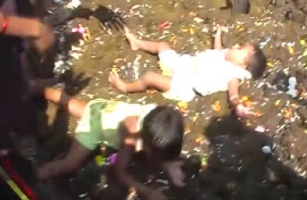 Tục lệ đặt con vào phân bò vì mong được may mắn