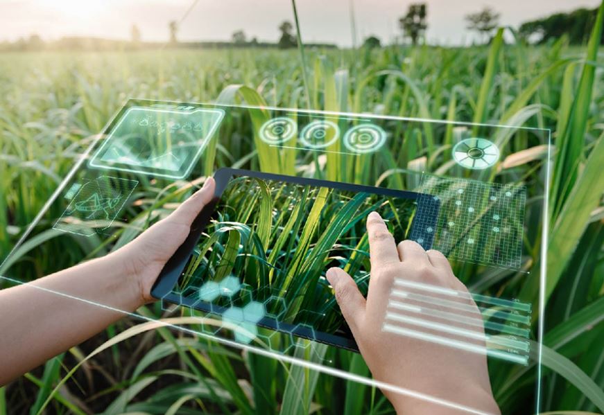 Hành trình ứng dụng công nghệ số trong sản xuất nông nghiệp