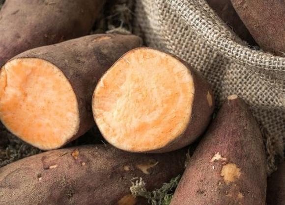 Mẹo bảo quản 'thần thánh' giúp khoai lang càng để lâu càng ngọt, hết lo khoai mọc mầm thối hỏng