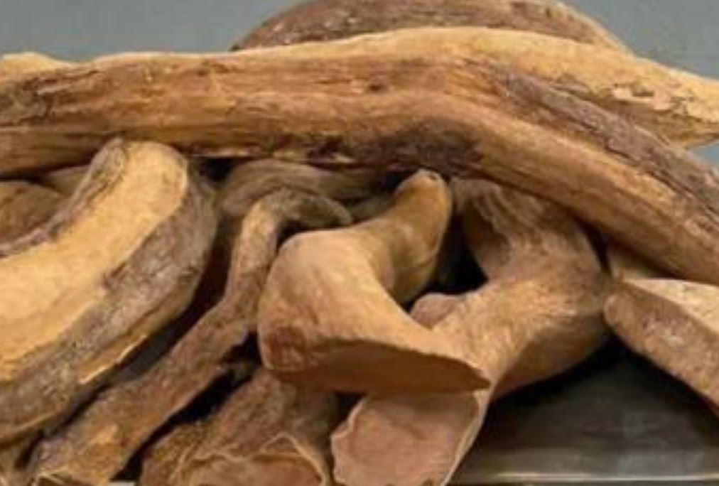 Việt Nam có 1.000 cây gỗ quý được xem như báu vật, một khúc gỗ có thể giá tiền tỷ, đó là gỗ gì?