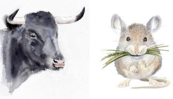 Tử vi ngày 30/12/2024 của 12 con giáp: Tuổi Sửu bừng sáng nhờ quý nhân, Tý cần cẩn trọng hơn