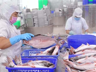 Giải pháp nào để xuất khẩu thuỷ sản không 'loanh quanh' mức 10 tỷ USD?