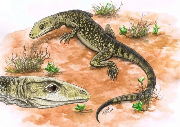 Loài bò sát 205 triệu tuổi "làm rung chuyển lịch sử tiến hóa"