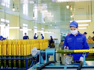 Cần có cơ chế hỗ trợ nhà khoa học, tránh tình trạng 'nghiên cứu bị xếp ngăn tủ'