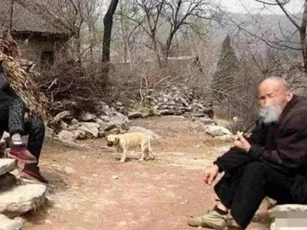 Người xưa có câu: 'Đàn ông sợ gà, đàn bà sợ cừu', tại sao lại như vậy?