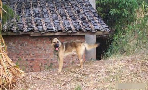 Ng&#x1B0;&#x1EDD;i x&#x1B0;a c&#xF3; c&#xE2;u: &#x201C;T&#x1EE9; kh&#xF4;ng b&#xEC;nh th&#x1B0;&#x1EDD;ng th&#xEC; gia &#x111;&#xEC;nh s&#x1EBD; g&#x1EB7;p n&#x1EA1;n&#x201D;, l&#xE0; &#x111;i&#x1EC1;m b&#xE1;o g&#xEC;?