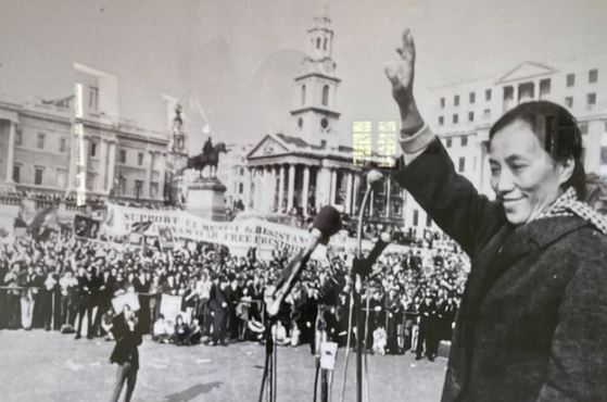 Nữ Bộ trưởng GD-ĐT duy nhất của Việt Nam: Cháu cụ Phan Châu Trinh, từng là Phó Chủ tịch nước