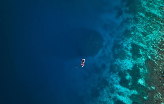 Các nhà khoa học phát hiện rạn san hô lớn nhất thế giới có thể nhìn thấy từ không gian