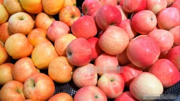 Khi mua táo hãy nhớ chọn những quả 'mẹ'! Chú ý điểm này và chọn đúng, tất cả những quả bạn mua sẽ có vị ngọt, giòn