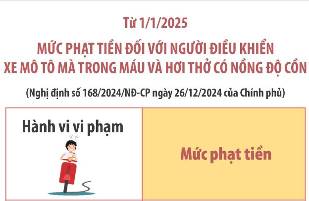 Mức phạt tiền đối với hành vi vi phạm phổ biến của ô tô, xe máy từ 1/1/2025